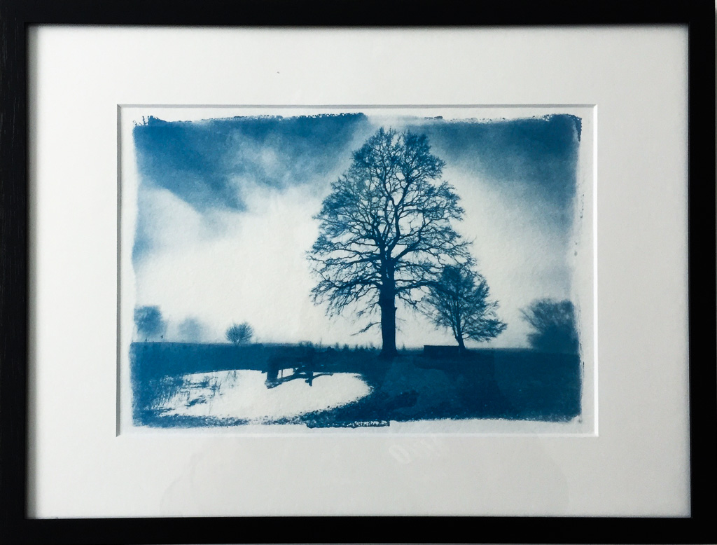 Landschaft Cyanotypie