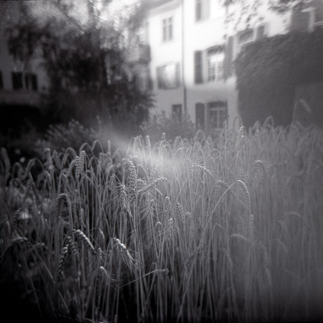 HOLGA 120N - gewünschter LightLeak