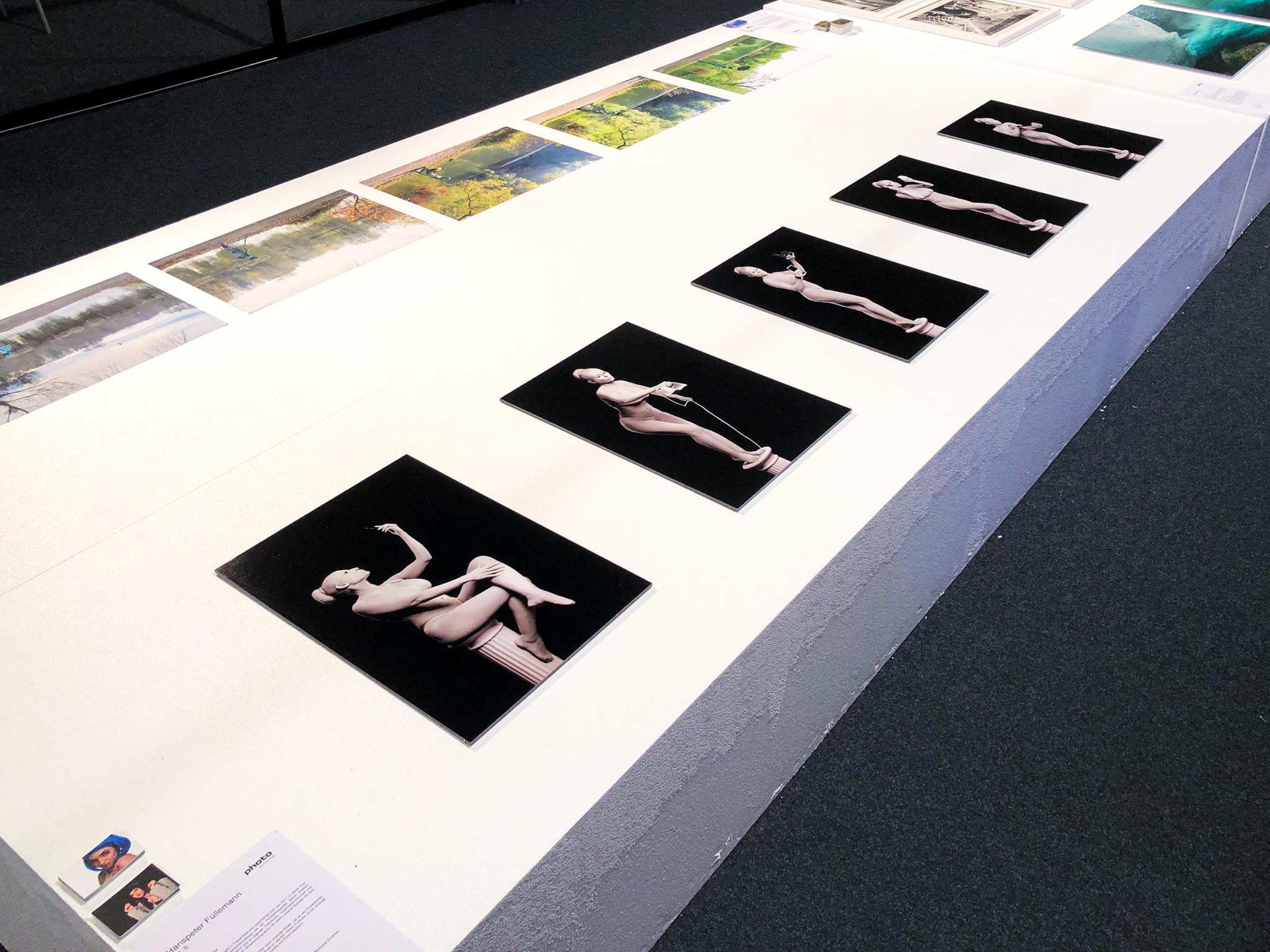 Ausstellungsquader mit Bildern