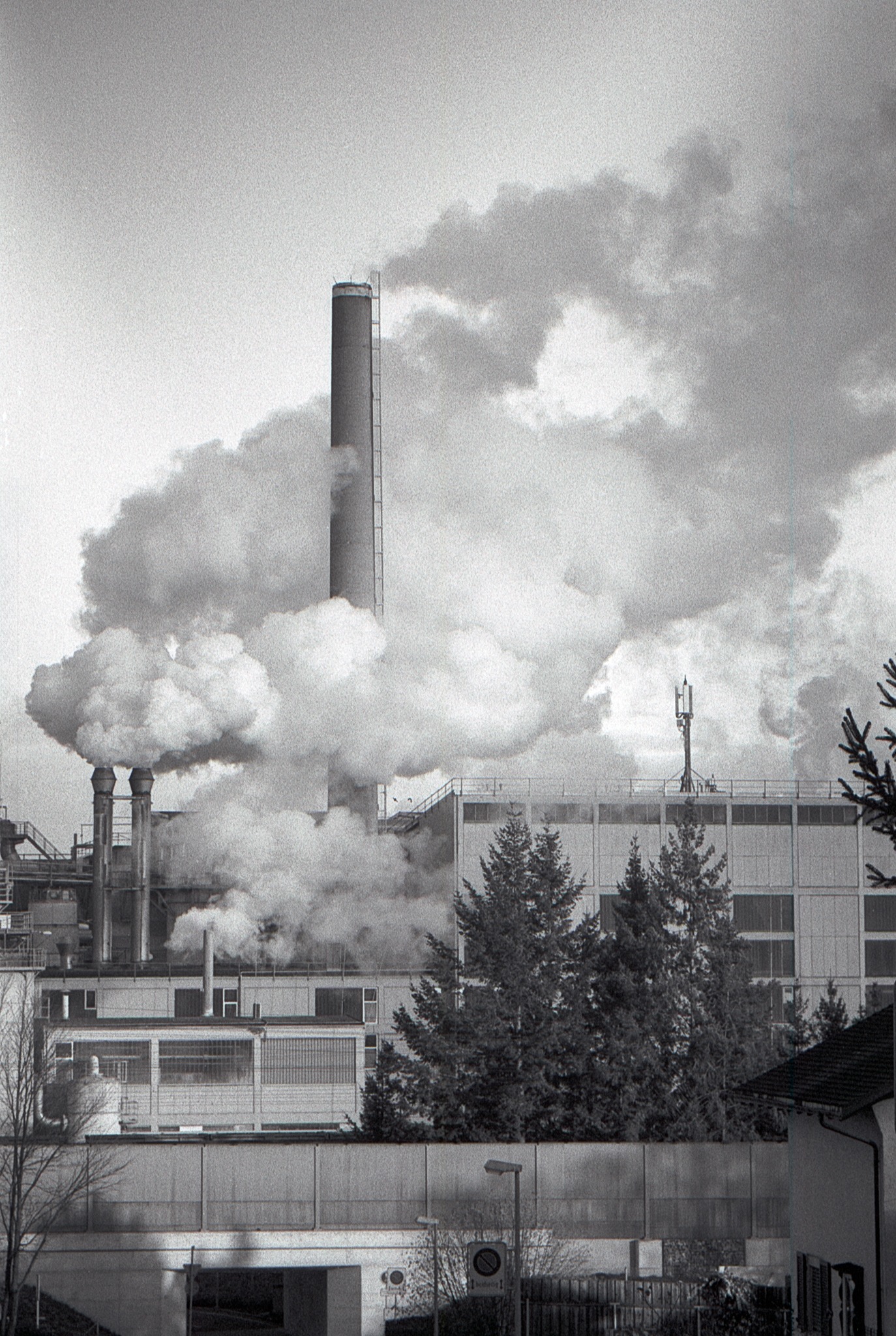 Mit Caffenol -C-L entwickeltes Bild.