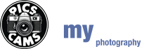 Pics & Cams by myView Photography Logo