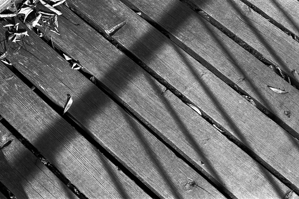 Film KB-025_Nikkormat-FT_Frauenfeld_Karthause_04