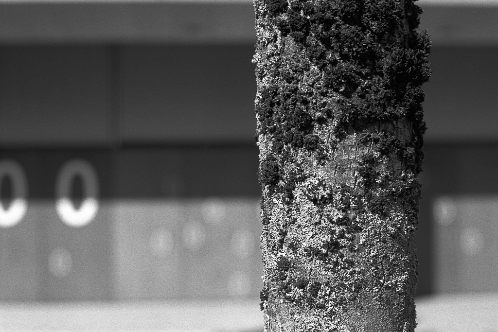 Film-KB-19_Nikkormat-FT_Zürich_08