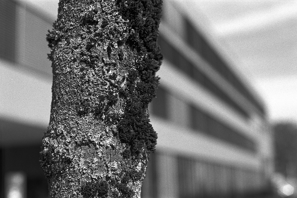Film-KB-19_Nikkormat-FT_Zürich_09