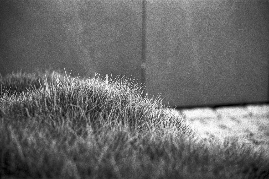 Film-KB-19_Nikkormat-FT_Zürich_10