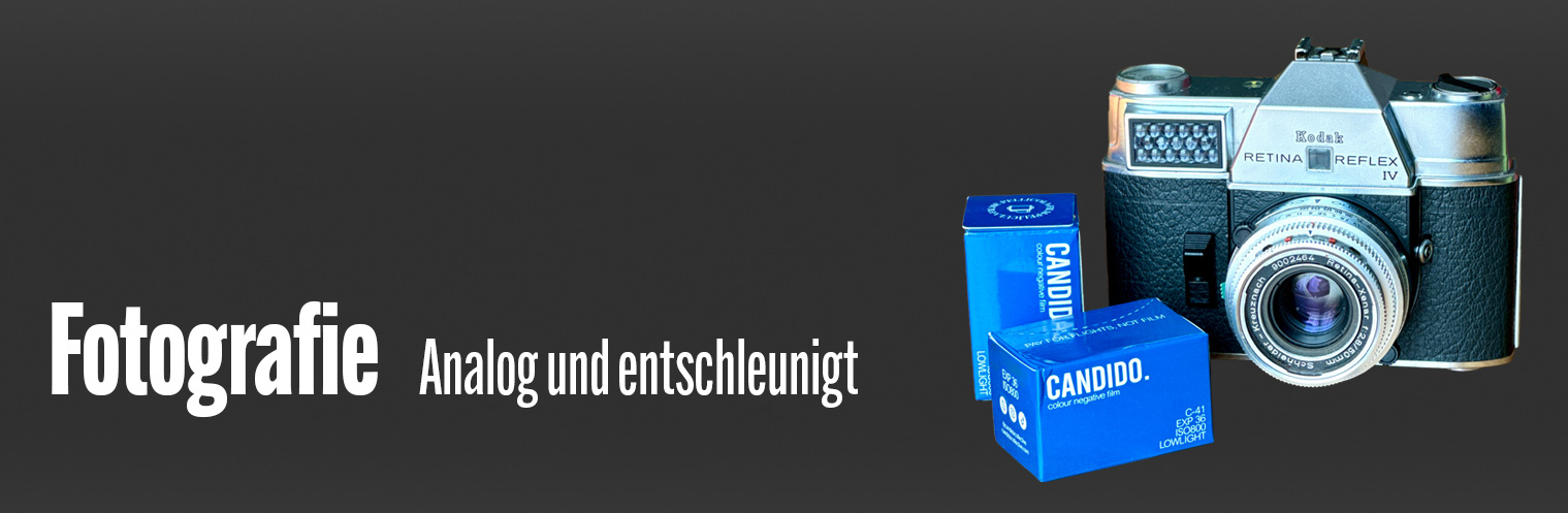 Das Headerbild des Youtube-Kanals von Pics & Cams